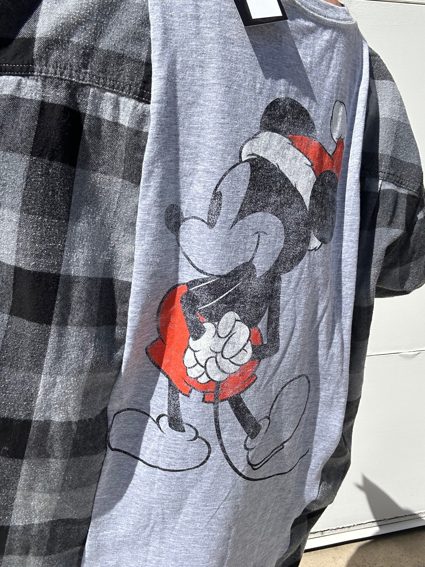 Mickey Flannel